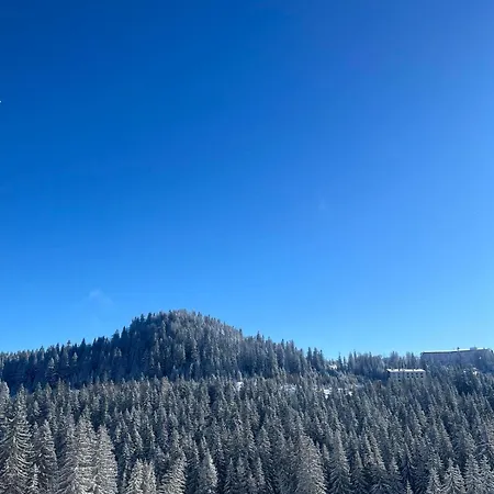 Apartman M&M&M - U Sklopu Aparthotel Vucko Jahorina -Privatni Apartman Apartamento *